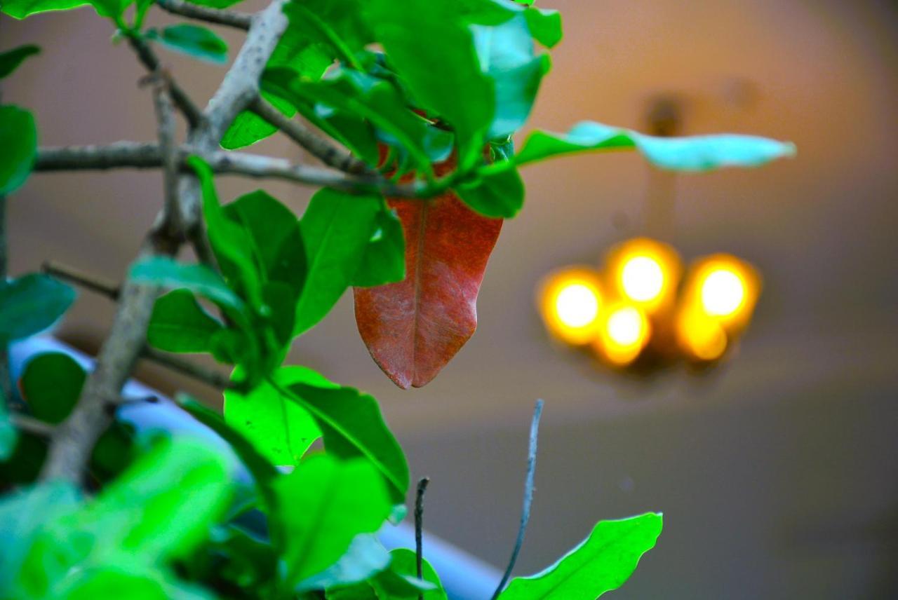 Malaiya Homestay - Grandeur Living Experience Jabalpur Dış mekan fotoğraf